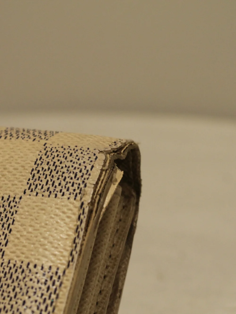 Louis Vuitton elegant louis